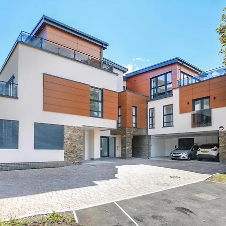 Uk40240-the Bluebell